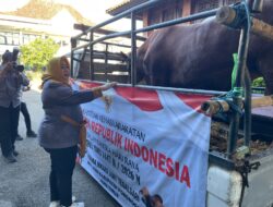 Sapi Kurban Bantuan Presiden Prabowo Tiba di Ponorogo, Bobot Hampir Satu Ton Disalurkan ke Masjid Tegalsaria